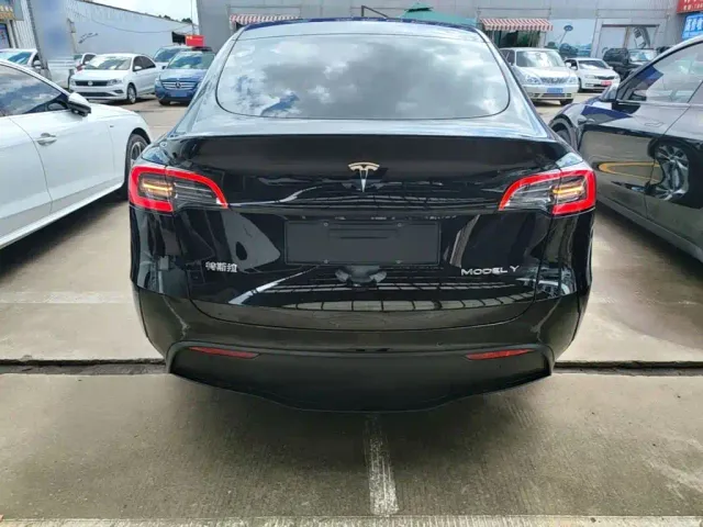 Tesla Model Y — Фото автомобиля 3