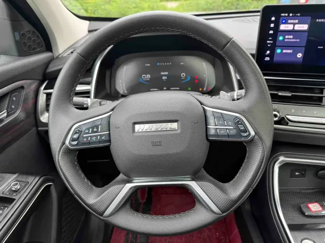 Haval H6 — Фото автомобиля 24
