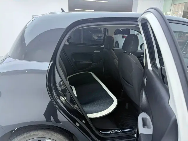 Ora Black Cat — Фото автомобиля 15