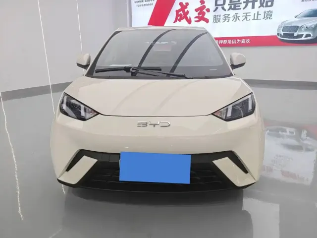 BYD Seagull 2025 305km Vitality — Фото автомобиля 2