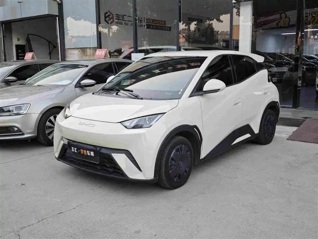 Фотография автомобиля — BYD Seagull
