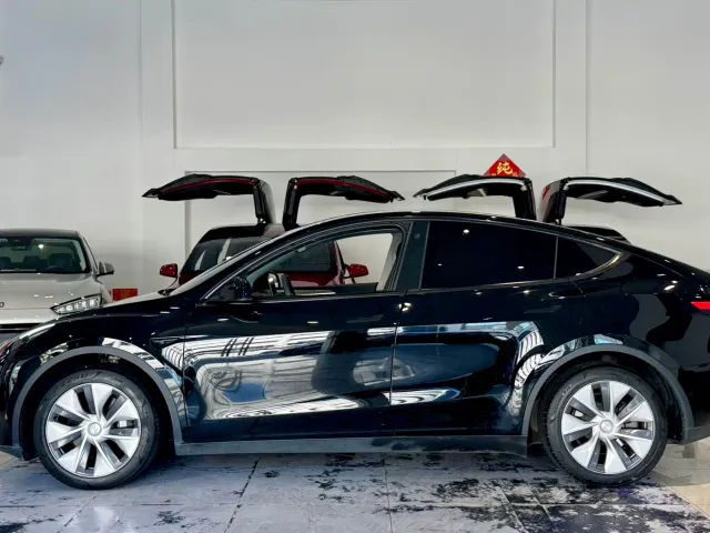 Tesla Model Y — Фото автомобиля 7