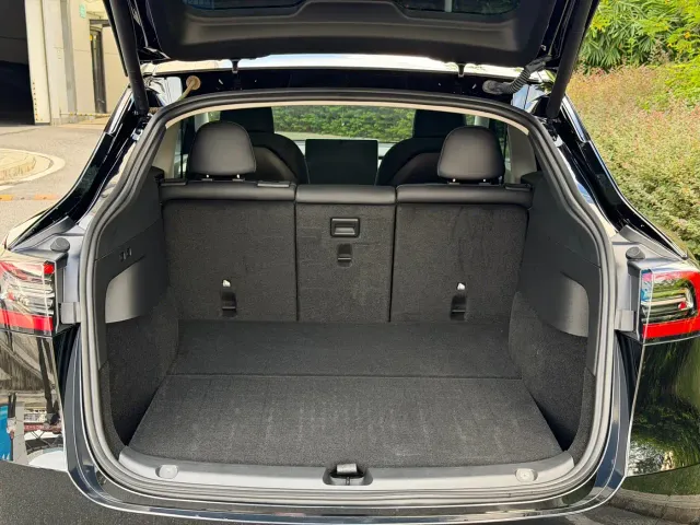 Tesla Model Y — Фото автомобиля 10