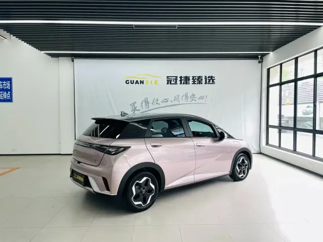 BYD Dolphin — Фото автомобиля 15