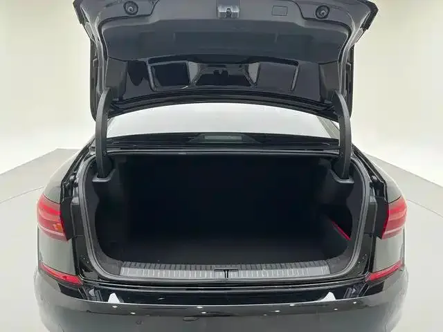Volkswagen Passat — Фото автомобиля 12