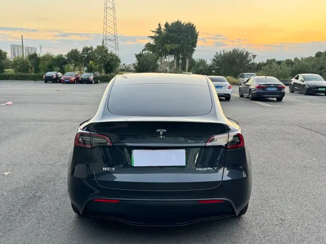 Tesla Model Y — Фото автомобиля 2