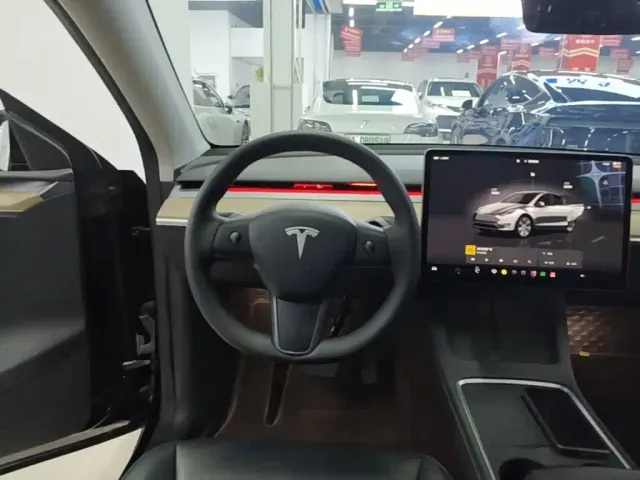 Tesla Model Y — Фото автомобиля 10