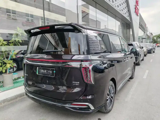 Hongqi HQ9 PHEV — Фото автомобиля 9
