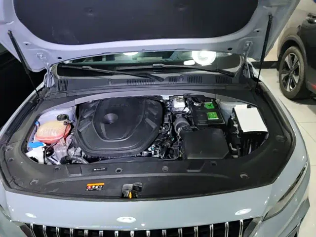 Geely Xingrui — Фото автомобиля 16