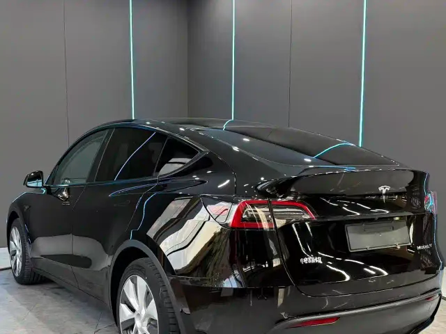 Tesla Model Y — Фото автомобиля 8