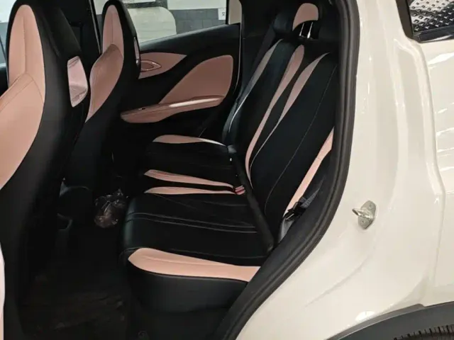 BYD Seagull — Фото автомобиля 12