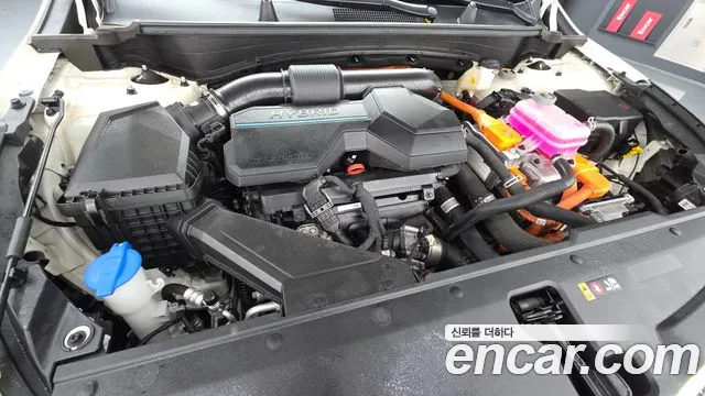 Kia Sportage — Фото автомобиля 6