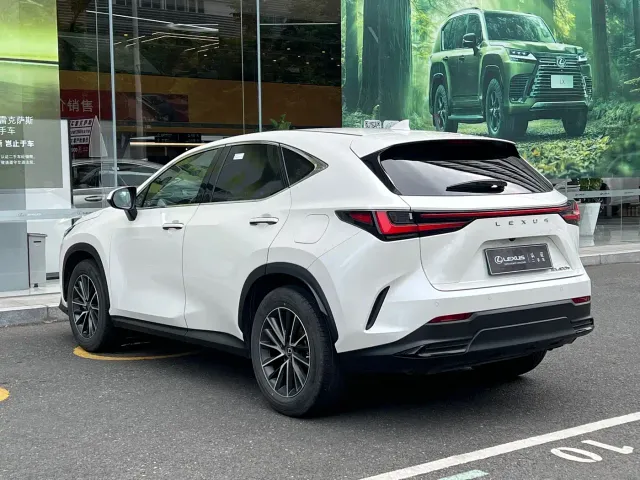 Lexus NX — Фото автомобиля 17