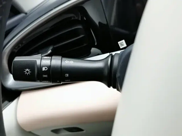 Geely Starry Wish — Фото автомобиля 21