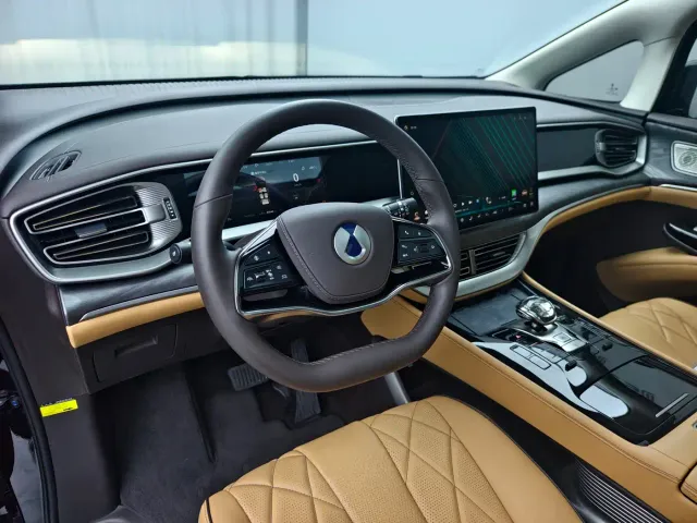 Denza D9 — Фото автомобиля 10