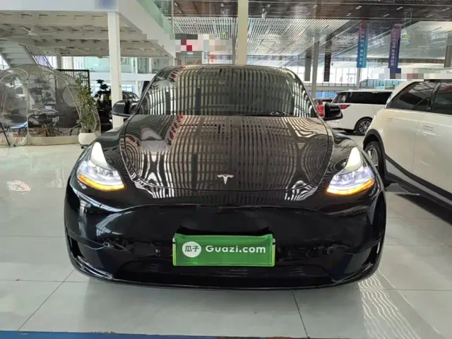 Tesla Model Y — Фото автомобиля 2