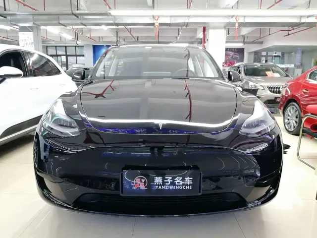 Tesla Model Y — Фото автомобиля 2