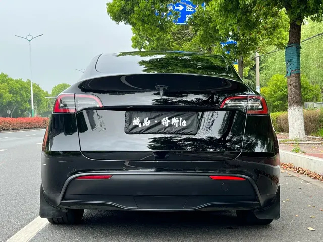 Tesla Model Y — Фото автомобиля 4