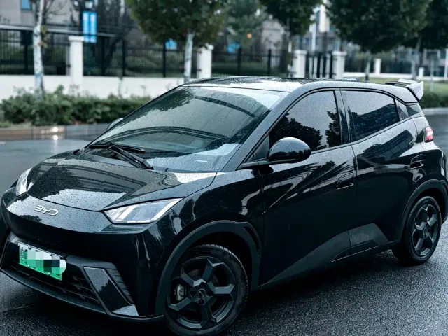 Фотография автомобиля — BYD Seagull