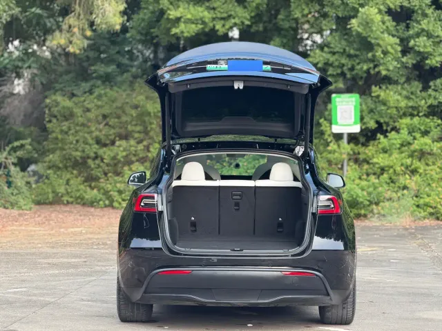Tesla Model Y — Фото автомобиля 13