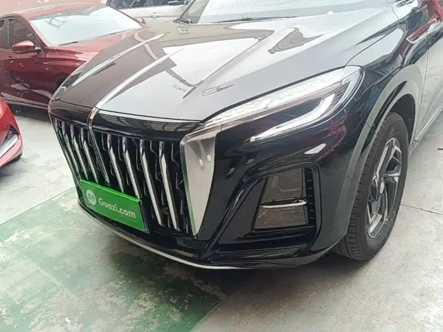 Hongqi Hongqi HS3 2024 1.5T Virtue Edition — Фото автомобиля 23