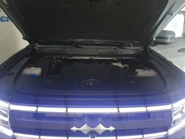 BYD FangChengBao Leopard 5 — Фото автомобиля 19