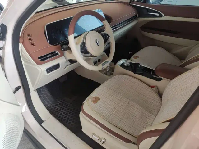 Ora Good Cat — Фото автомобиля 14