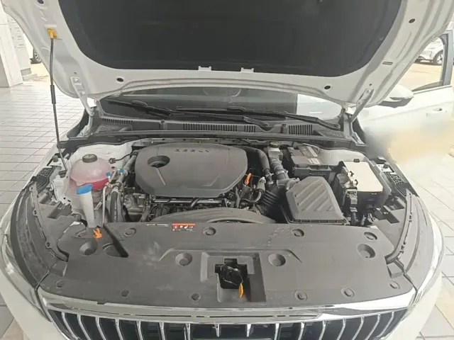 Geely Emgrand — Фото автомобиля 19