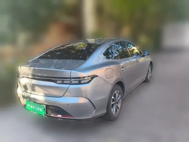 BYD Destroyer 05 2024 Glory Edition DM-i 55KM Luxury — Фото автомобиля 8