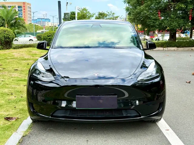 Tesla Model Y — Фото автомобиля 2