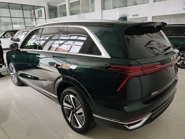 Wey Lanshan — Фото автомобиля 4