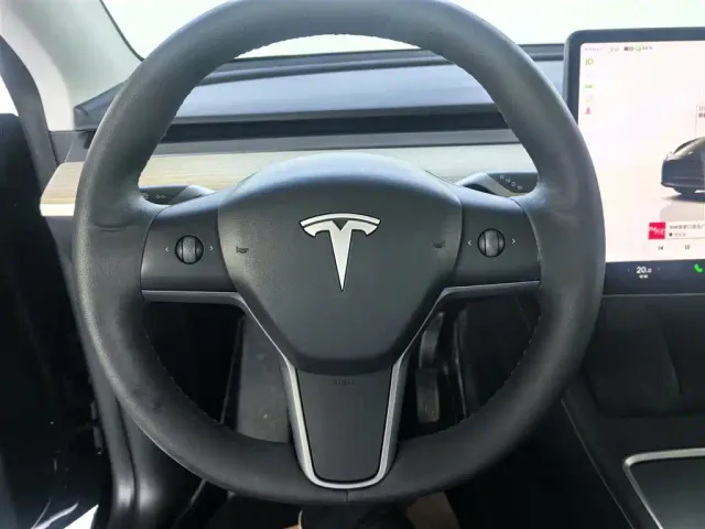 Tesla Model Y — Фото автомобиля 10