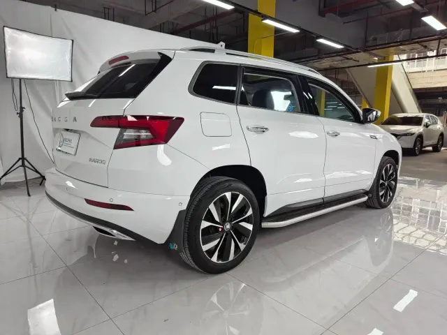 Skoda Karoq — Фото автомобиля 6