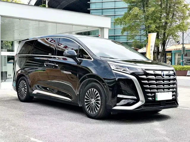 Denza D9 — Фото автомобиля 3