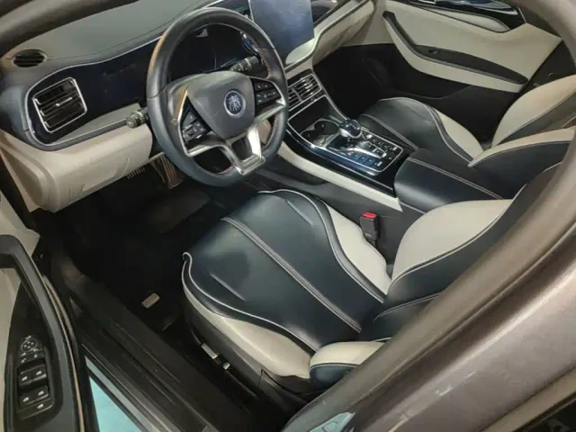 BYD Qin PLUS — Фото автомобиля 15
