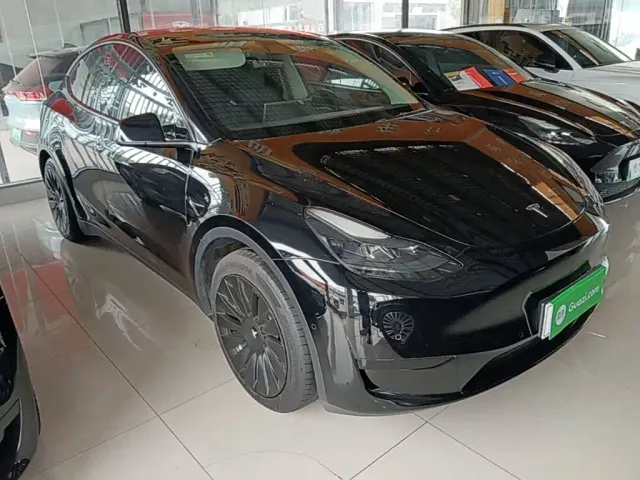 Tesla Model Y — Фото автомобиля 3