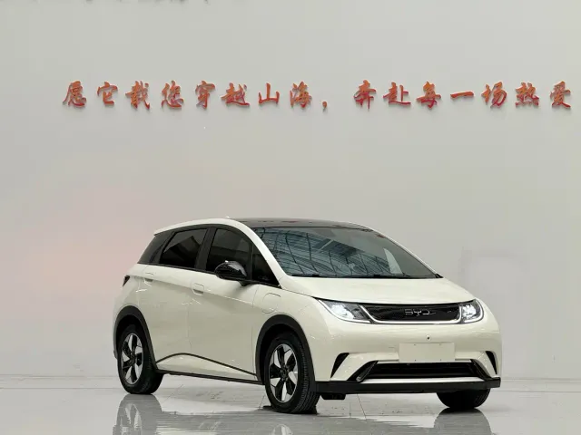 BYD Dolphin — Фото автомобиля 3