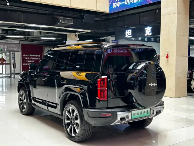 BYD FangChengBao Leopard 5 — Фото автомобиля 6
