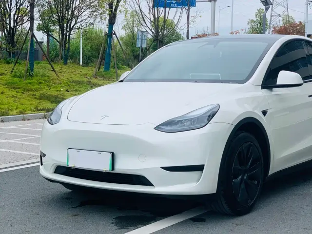 Tesla Model Y — Фото автомобиля 4