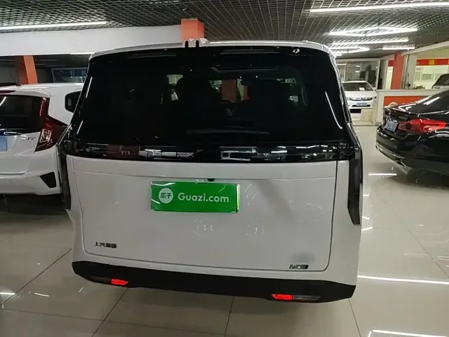 Maxus Dajia 7 — Фото автомобиля 5