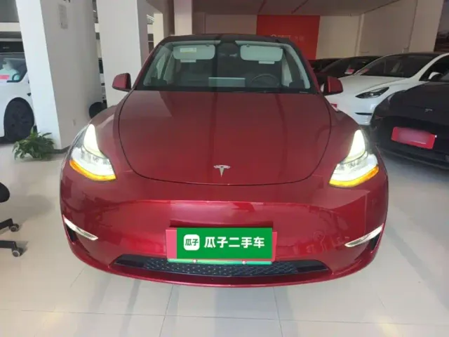 Tesla Model Y — Фото автомобиля 2