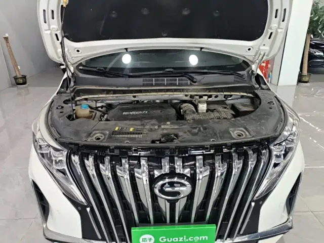 GAC Trumpchi M8 — Фото автомобиля 19