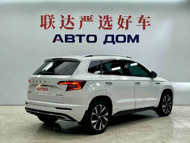 Skoda Karoq — Фото автомобиля 7