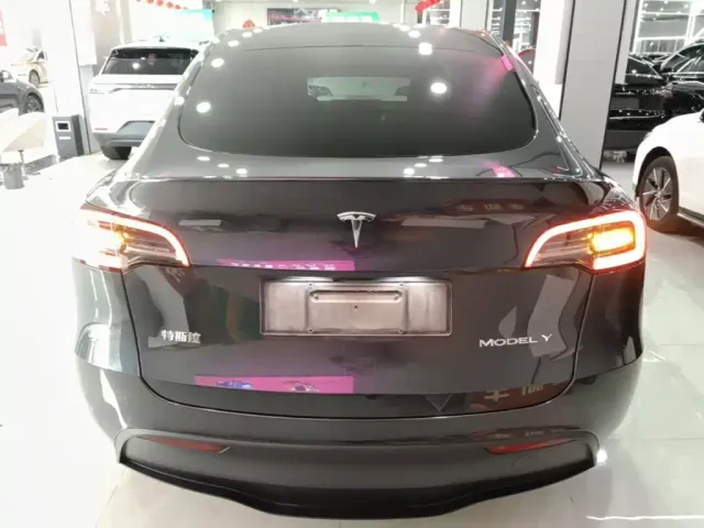 Tesla Model Y — Фото автомобиля 5