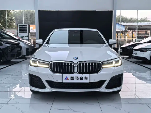 BMW 5 Series — Фото автомобиля 2