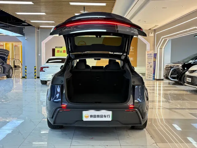 Tesla Model Y — Фото автомобиля 19