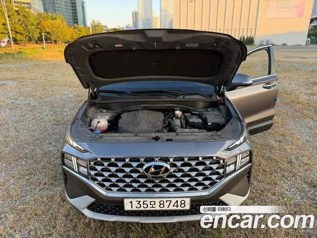 Hyundai Santa Fe New — Фото автомобиля 17