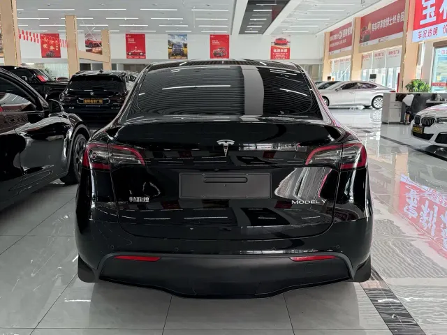 Tesla Model Y — Фото автомобиля 6