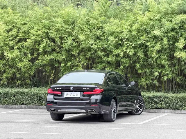 BMW 5 Series — Фото автомобиля 9