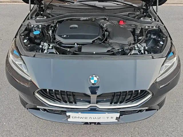 BMW 2 Series — Фото автомобиля 9